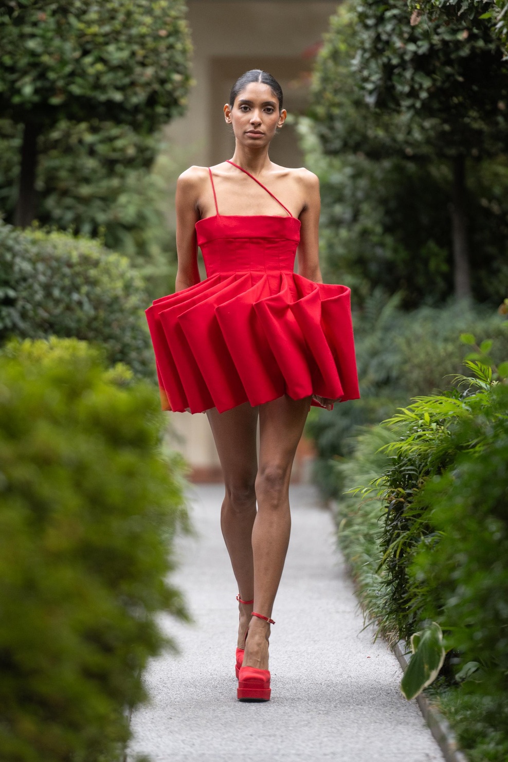 PHILLIPA SIGNORELLI