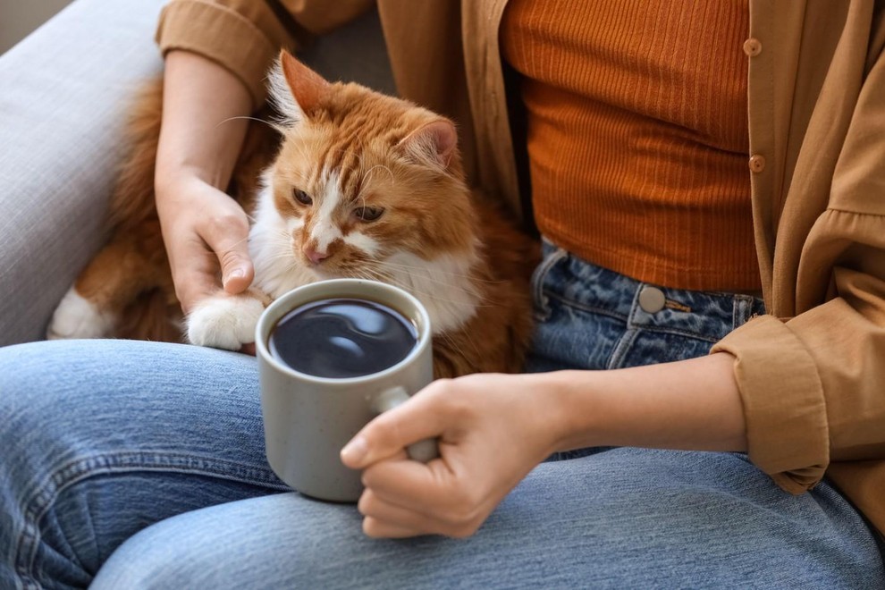 Ribi Ribi so zelo čustvene in introspektivne, zato jim množice pogosto povzročajo nelagodje. Njihov bogati notranji svet jim zadostuje za …