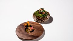 S.Pellegrino Young Chef Academy se je včeraj zaključil z velikim finalom v Milanu