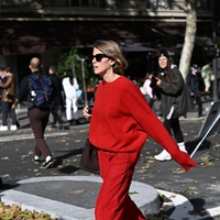 Česa nikoli ne bi smeli reči škorpijonu? Te besede boste obžalovali