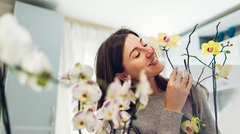 To so vonji, ki bodo vaše razpoloženje dvignili do višav (in obračali glave)