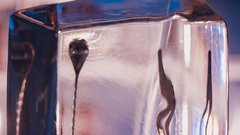 Elle style awards 2025