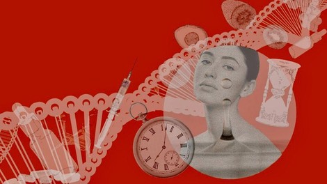 Druženje in delavnica, kjer se boste v družbi treh vrhunskih strokovnjakinj naučile živeti bolj polno življenje