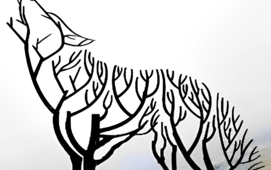 Volk Če ste najprej opazili volka, to kaže na vašo nedvomno sposobnost, da brez napora pritegnete pozornost. Naravno izžarevate tiho …