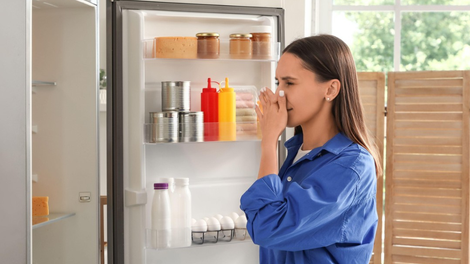 hladilnik sadje hrana