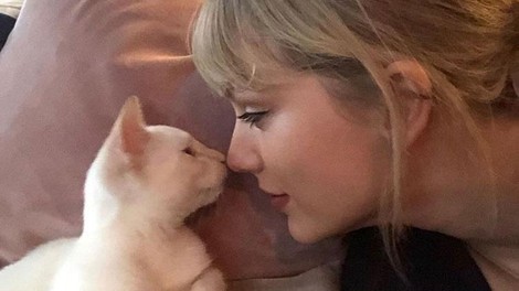 Kaj pomeni, če vas mačka liže na določenem delu telesa?