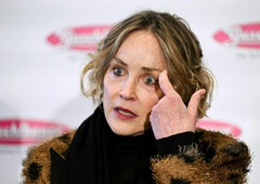 Stajling, o katerem bodo še dolgo govorili: Sharon Stone v oblačilih, ki zares niso za vsakogar