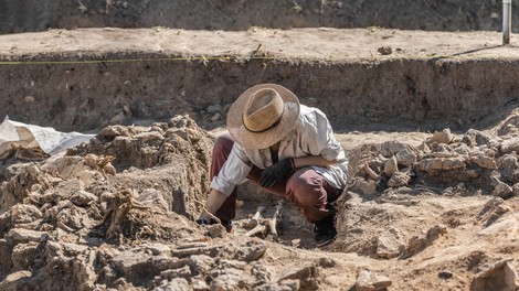 Arheologi osupli nad najdbo 400 kilometrov od Ljubljane: kopali luknjo za bazen, našli bogastvo
