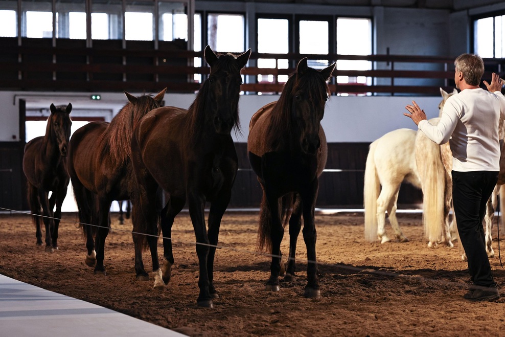 Stella McCartney na modno pisto vključila konje in ustvarila magično kuliso