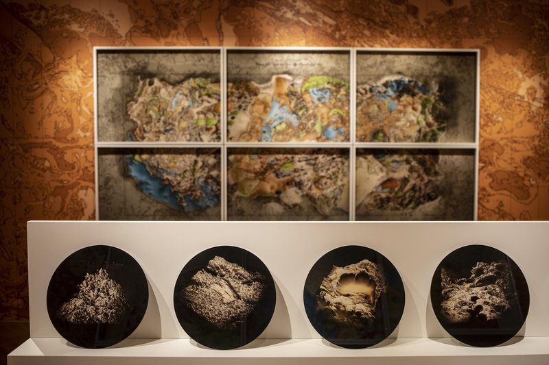 MGLC razstava Tracy Thompson