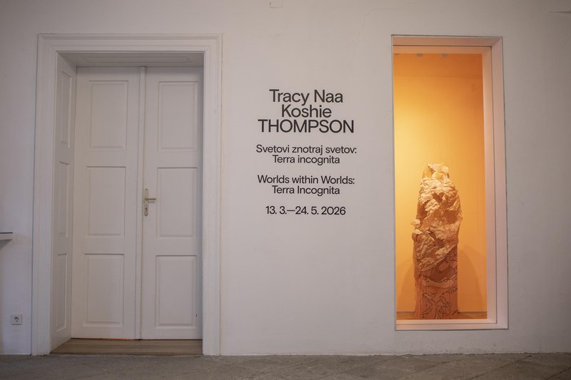 MGLC razstava Tracy Thompson