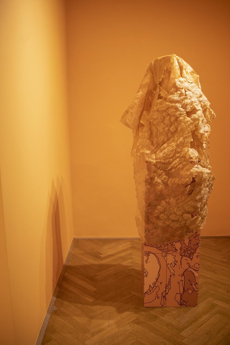 MGLC razstava Tracy Thompson