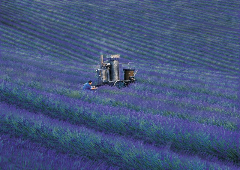 L'OCCITANE en Provence praznuje 50 let in razkriva globalno preobrazbo svoje ikonične lepotne hiše