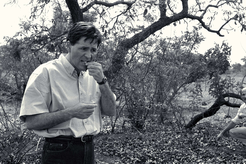 L'OCCITANE en Provence praznuje 50 let in razkriva globalno preobrazbo svoje ikonične lepotne hiše