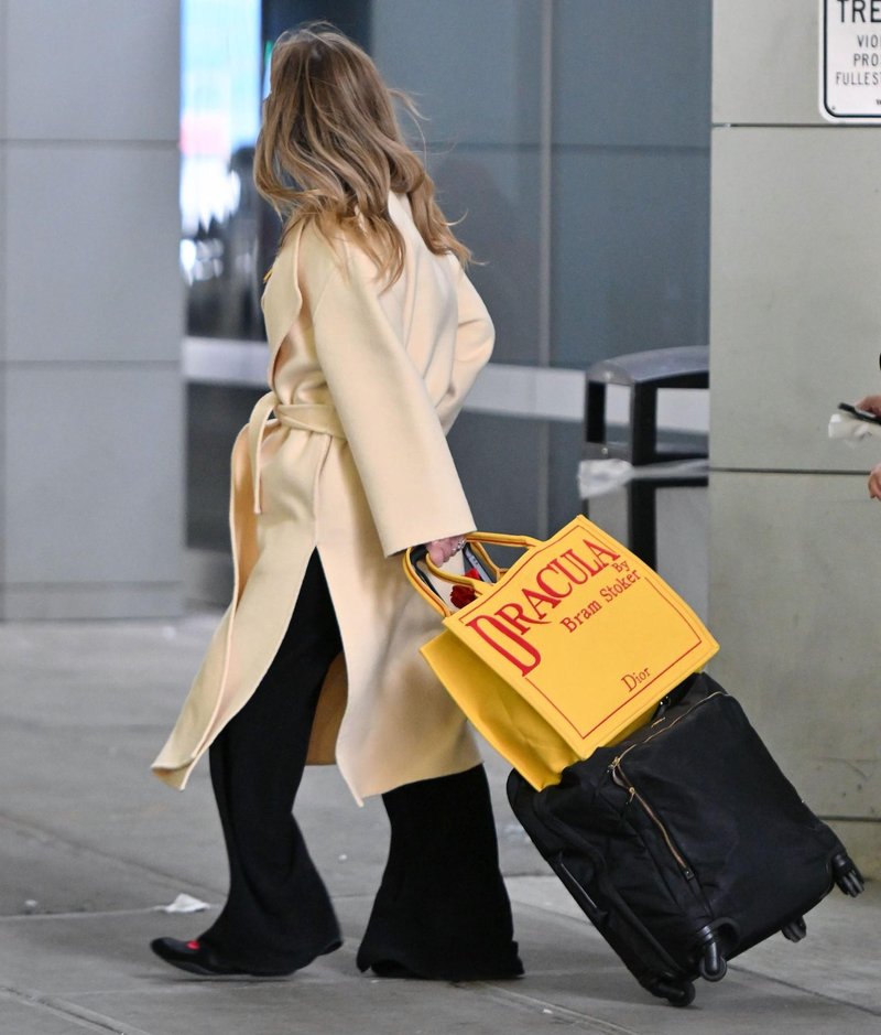 Nova Dior torbica spominja na naslovnico romana: oboževali jo bodo vsi knjižni molji