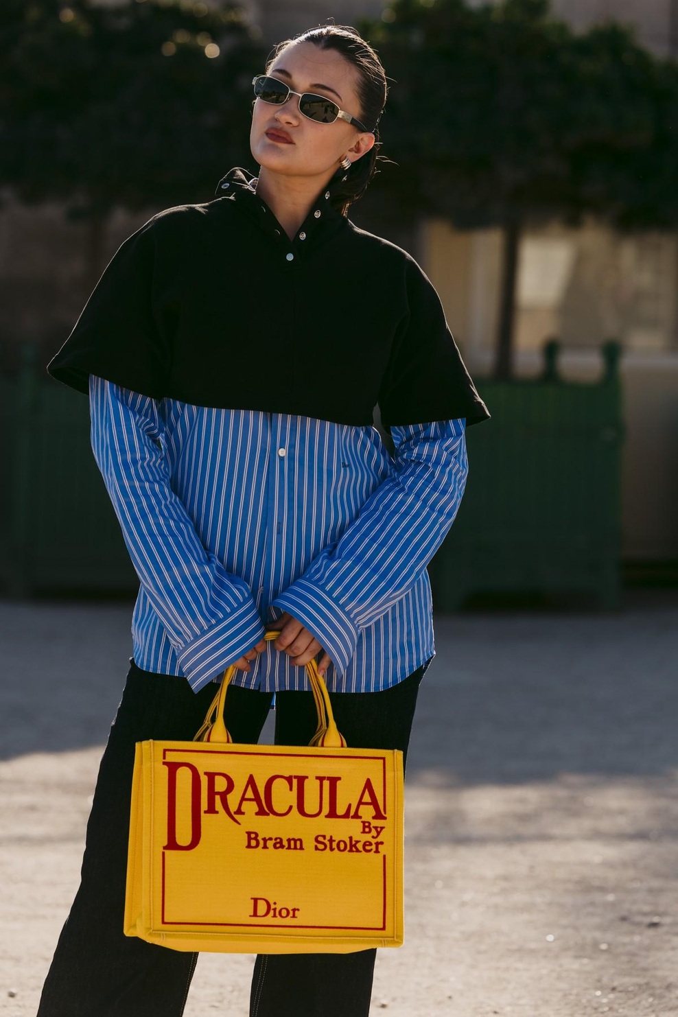 Nova Dior torbica spominja na naslovnico romana: oboževali jo bodo vsi knjižni molji (foto: Profimedia)