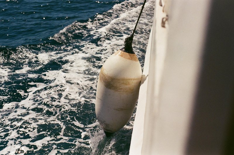 Novi jadranski festival, o katerem govorijo vsi – vrhunski program, cena pa preseneti!