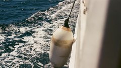 
                                                         Novi jadranski festival, o katerem govorijo vsi – vrhunski program, cena pa preseneti!