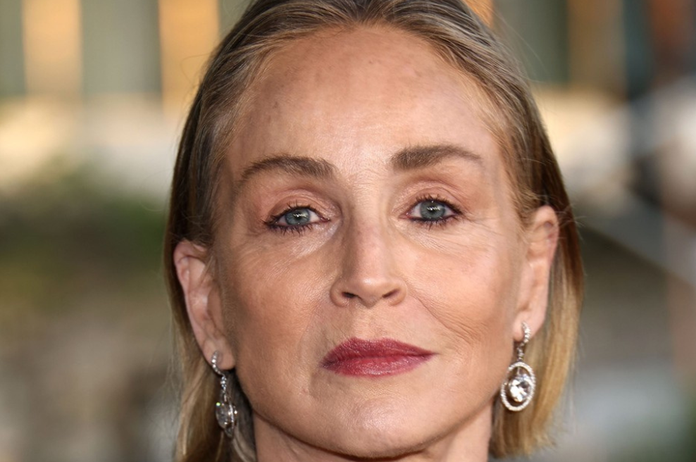Glamur brez kompromisov: videz Sharon Stone, ki močno izstopa (foto: Profimedia)