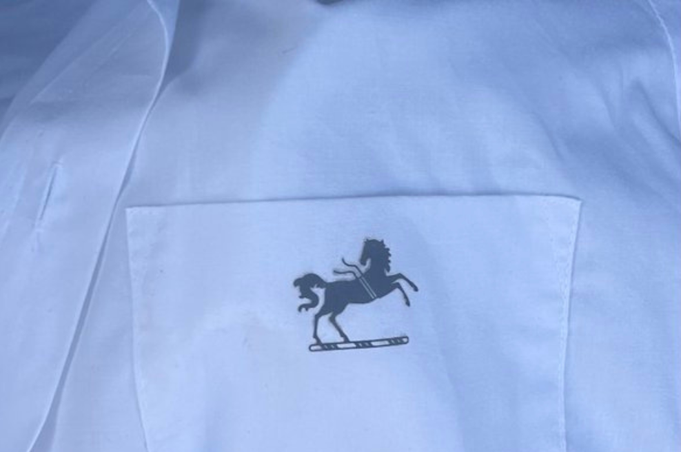 Mislil, da je v second handu za drobiž kupil srajco Ralph Lauren: ko jo je videla hčerka, se je od smeha skoraj onesvestila (foto: https://x.com/EmmaF_2025/posnetek zaslona)