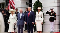 
                                                         Melania Trump obleka Dior Ralph Lauren
