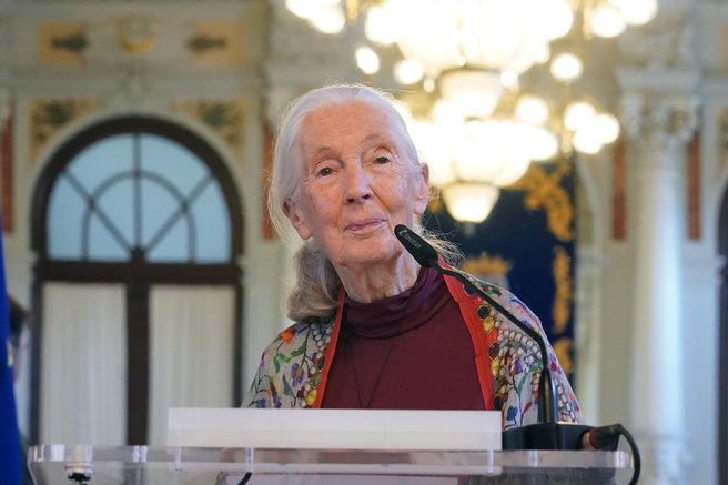 Z leti dobivajo posebno moč: ta znamenja naj bi videla in čutila več kot drugi