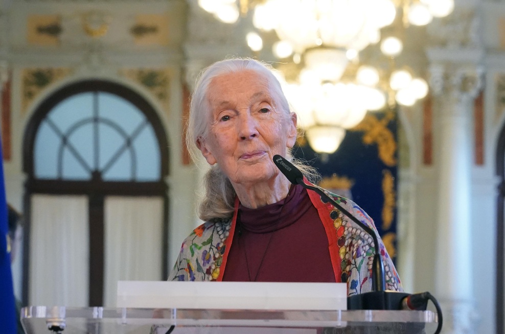Z leti dobivajo posebno moč: ta znamenja naj bi videla in čutila več kot drugi (foto: Profimedia)