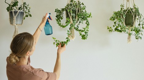 Rože se bodo med dopustom zalivale same: Ta preprost trik jih ohrani cela dva tedna