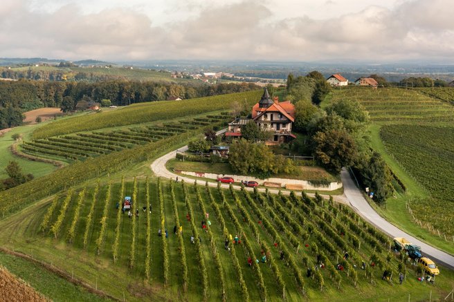 Izjemen uspeh za Radgonske gorice