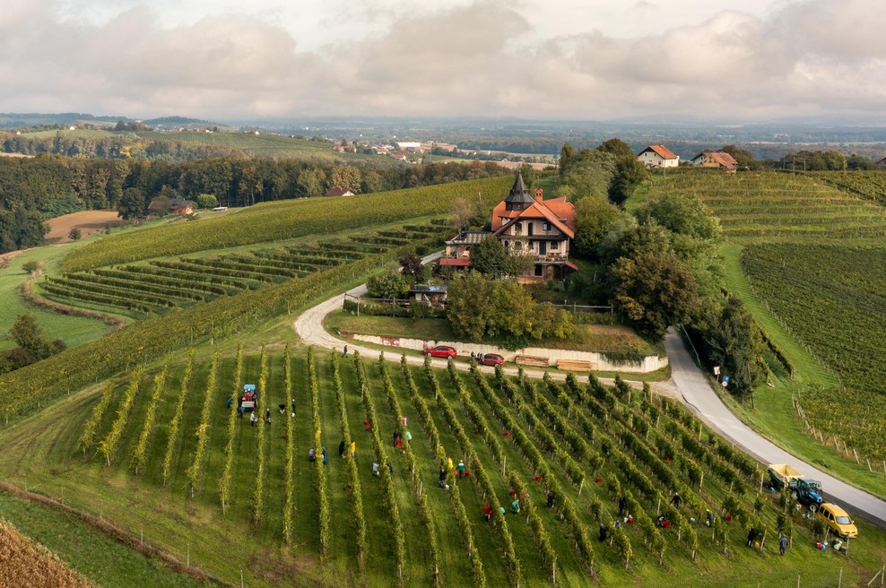 Izjemen uspeh za Radgonske gorice (foto: Radgonske gorice)